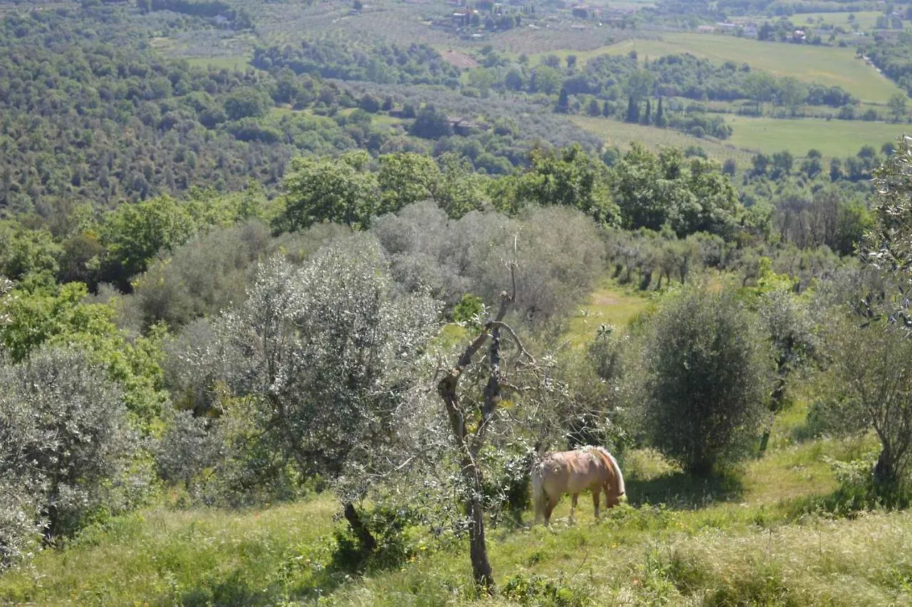 Holiday Home In Arezzo - Toskana 39940