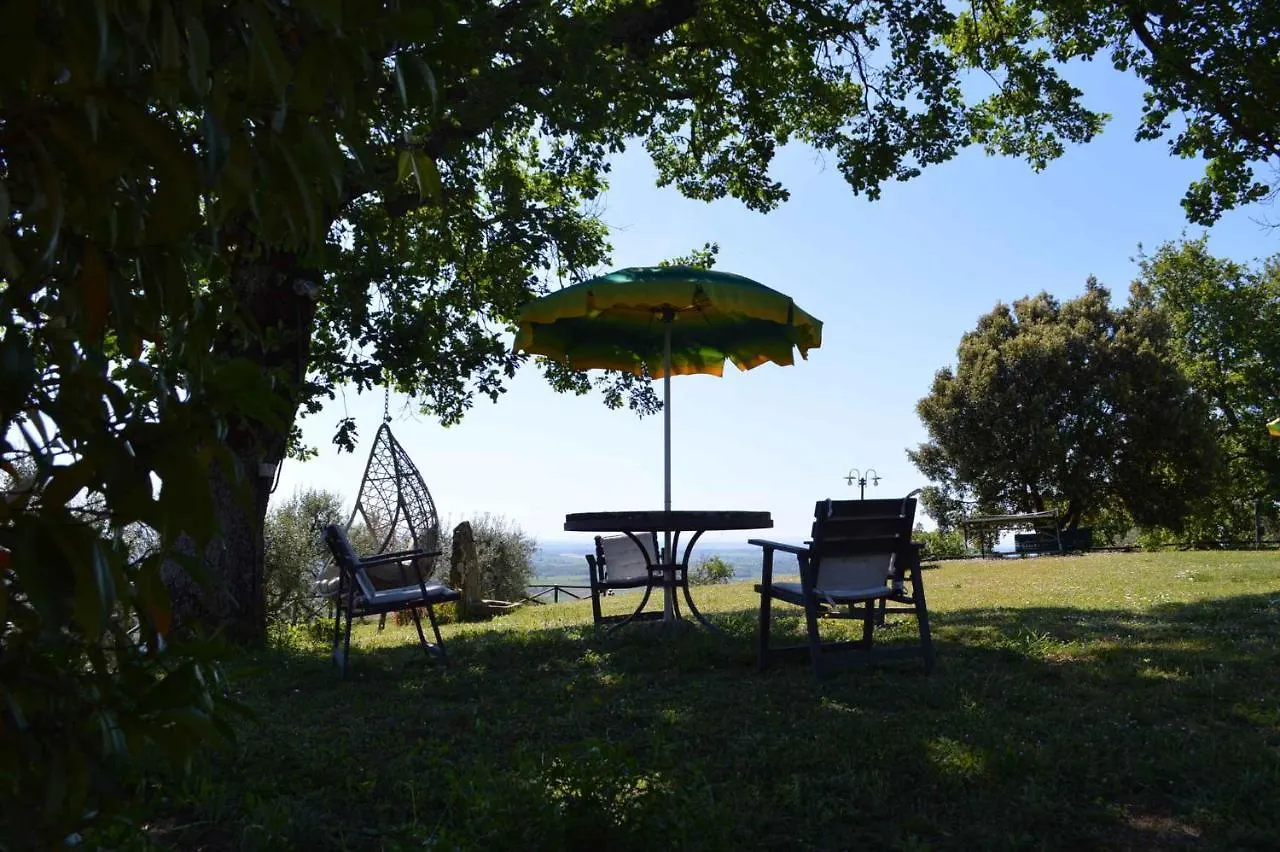 Holiday Home In Arezzo - Toskana 39940