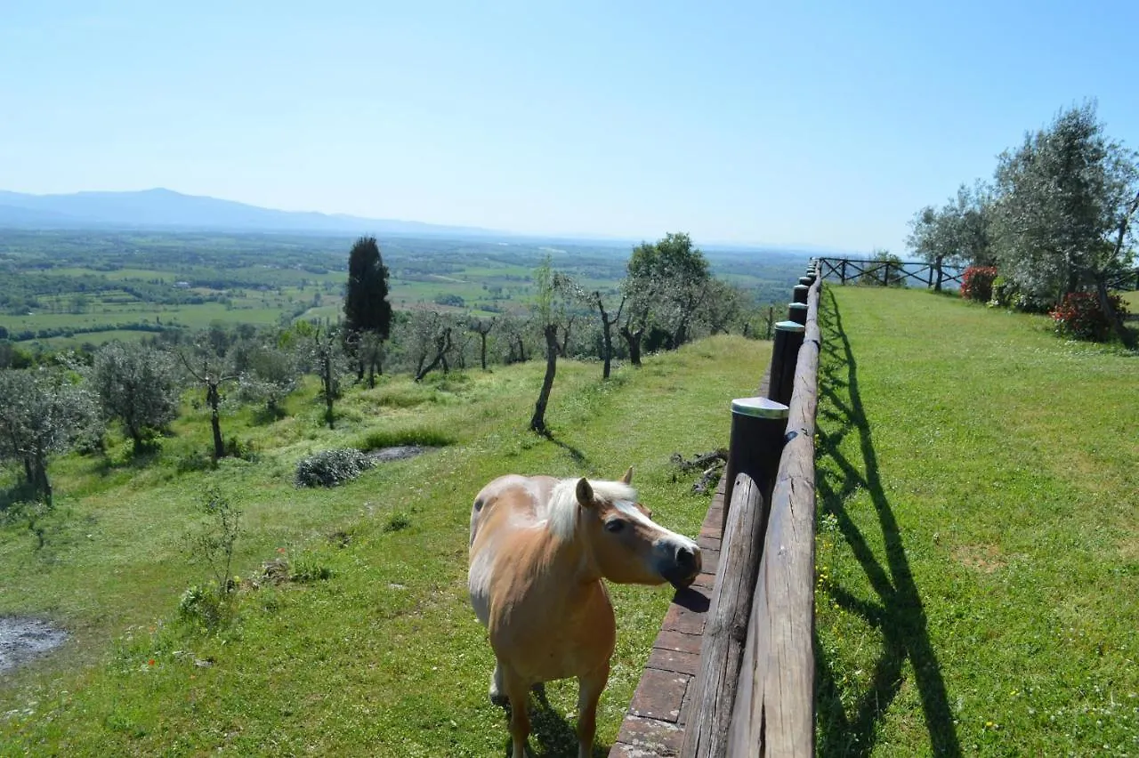 Holiday Home In Arezzo - Toskana 39940 إيطاليا
